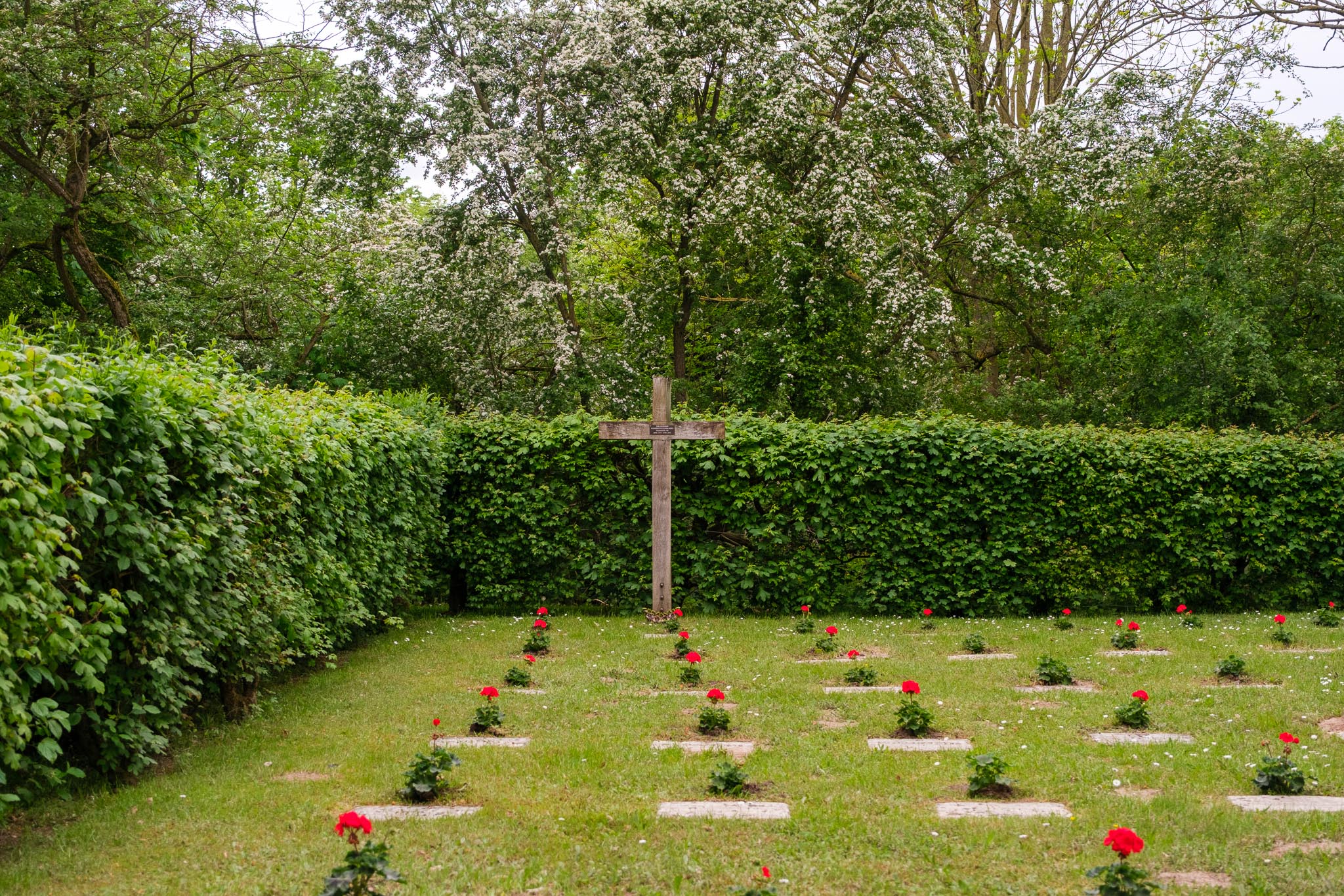 Das Bild zeigt den Friedhof von Scheppau mit den Gräbern der in Schandelah ermordeten Menschen.