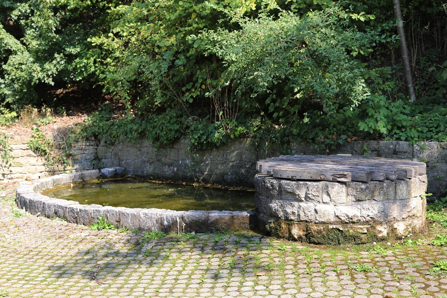 Heimesod Quelle im Unterdorf verkleinert