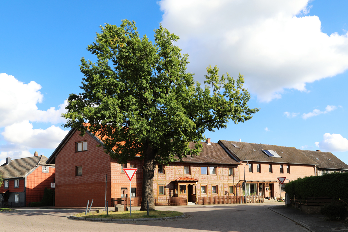 Das Bild zeigt eine Wegkreuzung mit einer Freidenseiche inmitten des Dorfes Gardessen.