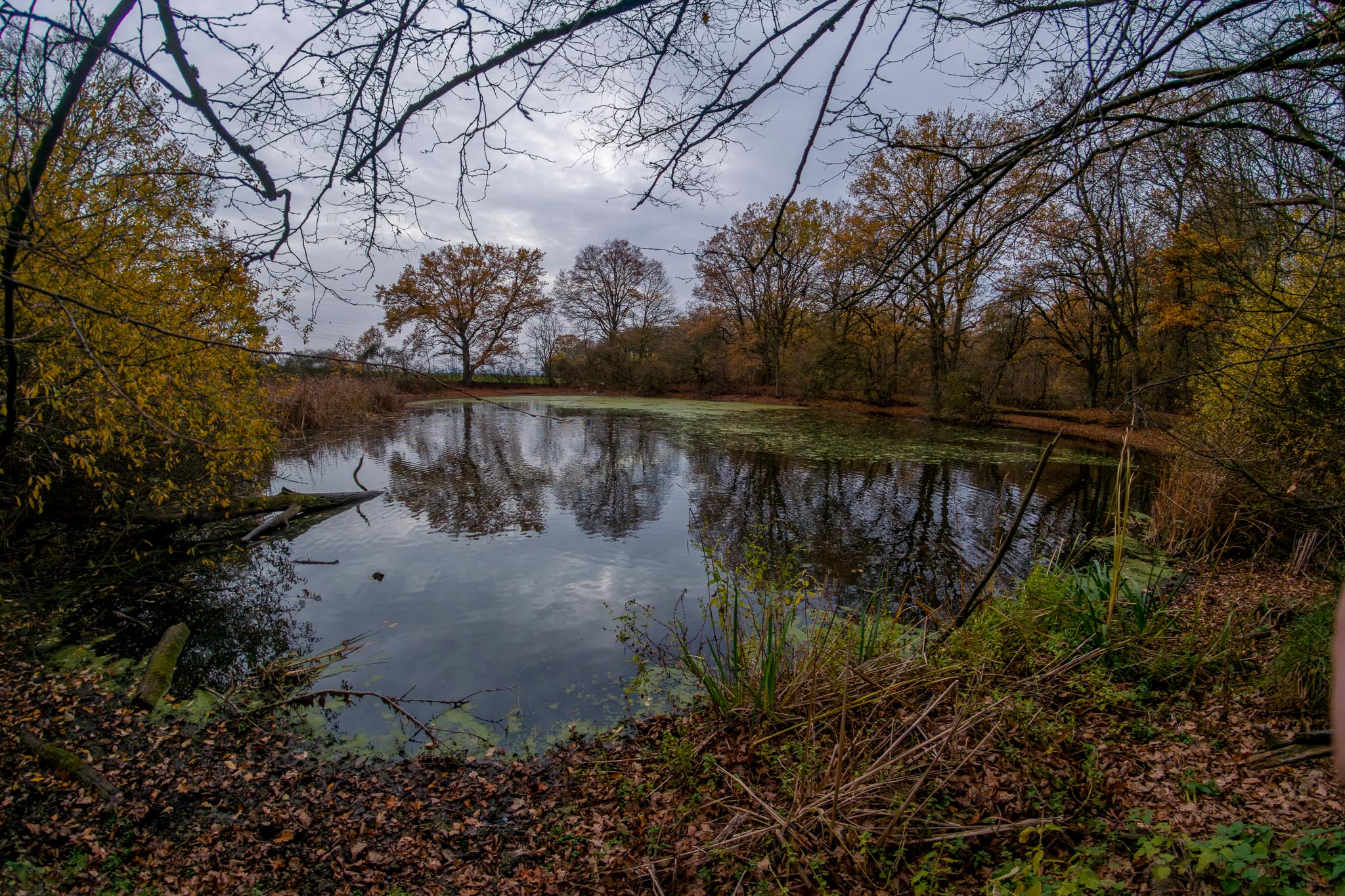 20251114 Luftbild Klein Schoeppenstedt 0007 2